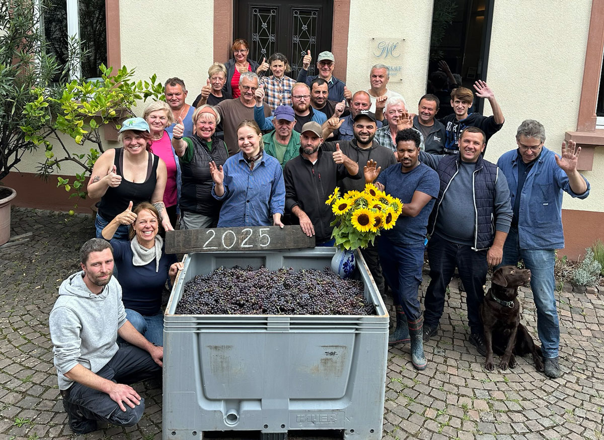 Weinlese-Gruppe 2025 Weinlese-Gruppe 2025